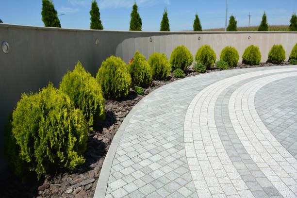  Cairo, NE Driveway Pavers Pros